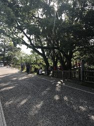 岡崎公園歩道